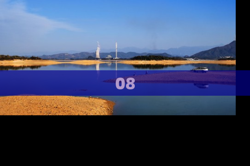 08