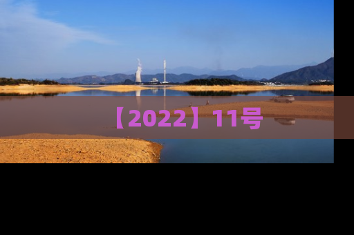 【2022】11号