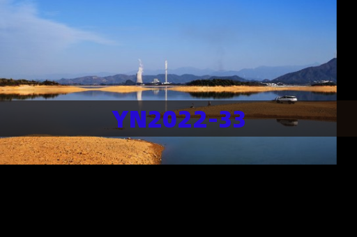YN2022-33