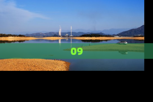 09