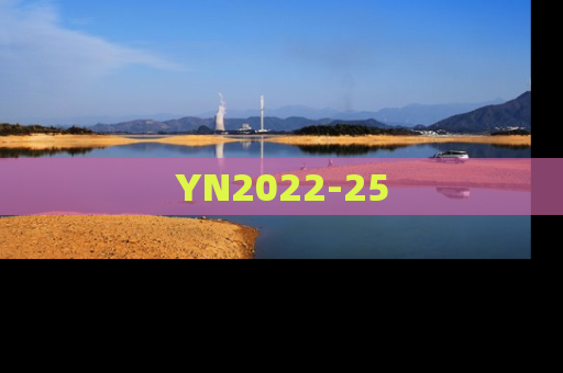 YN2022-25