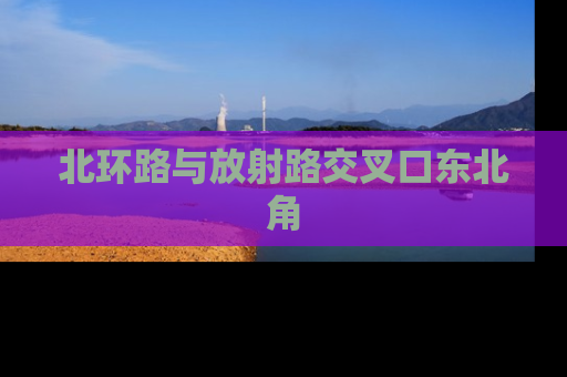 北环路与放射路交叉口东北角