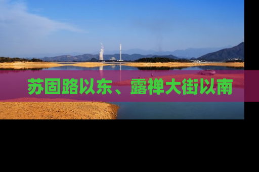 苏固路以东、露禅大街以南