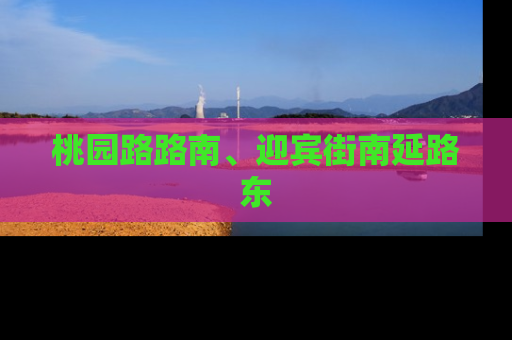 桃园路路南、迎宾街南延路东