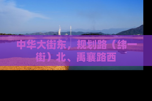 中华大街东，规划路（纬一街）北、禹襄路西