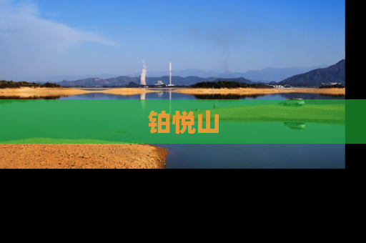 铂悦山