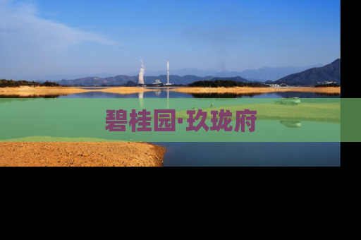 碧桂园·玖珑府
