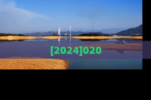 [2024]020