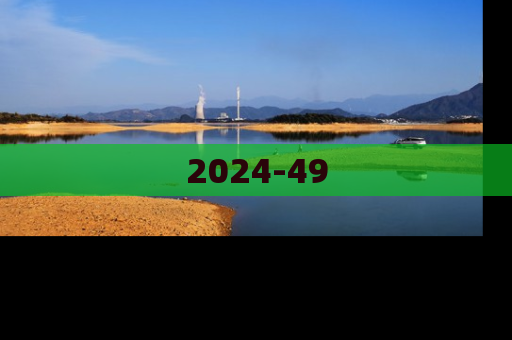 2024-49