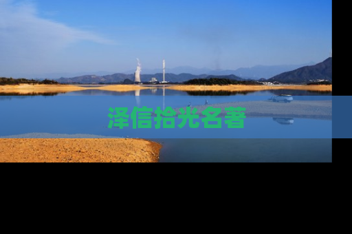 泽信拾光名著