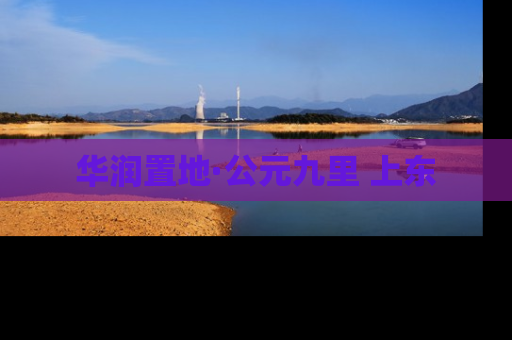 华润置地·公元九里 上东