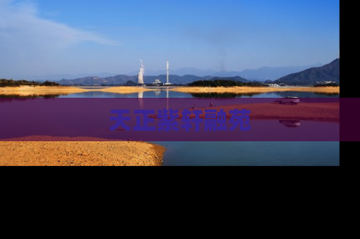 天正紫轩融苑