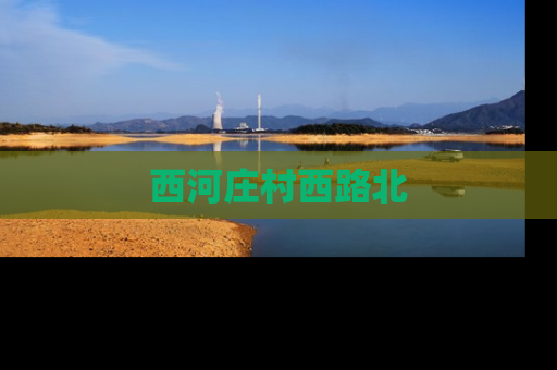西河庄村西路北