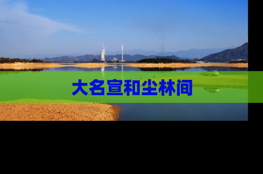 大名宣和尘林间