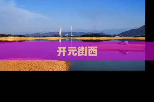 开元街西